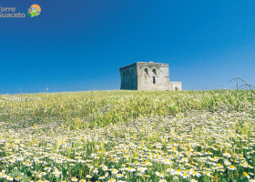 Riserva Naturale di Torre Guaceto