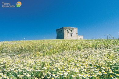 Riserva Naturale di Torre Guaceto